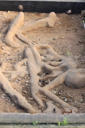 Anglo-Saxon execution victims; their outlines preserved in sand